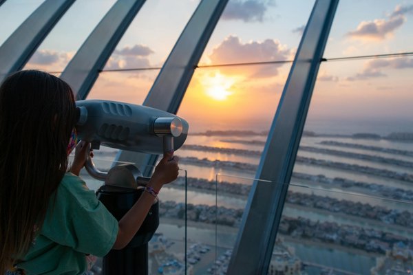 Voyager dans des réserves naturelles : rencontres avec les gorilles