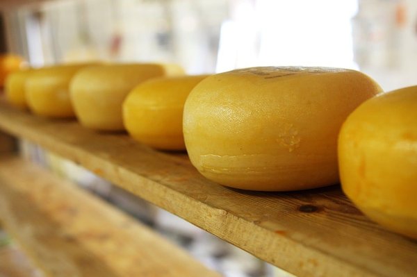 Comment participer à des ateliers de fabrication de fromage artisanal en Suisse ?